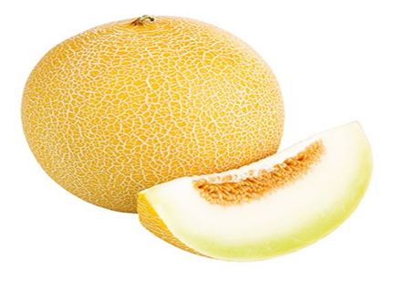 Meloen Galia